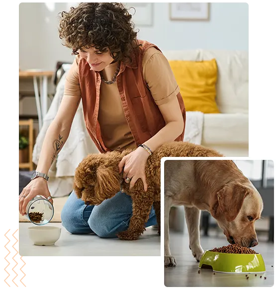 Providing your dog with a balanced and appropriate diet
