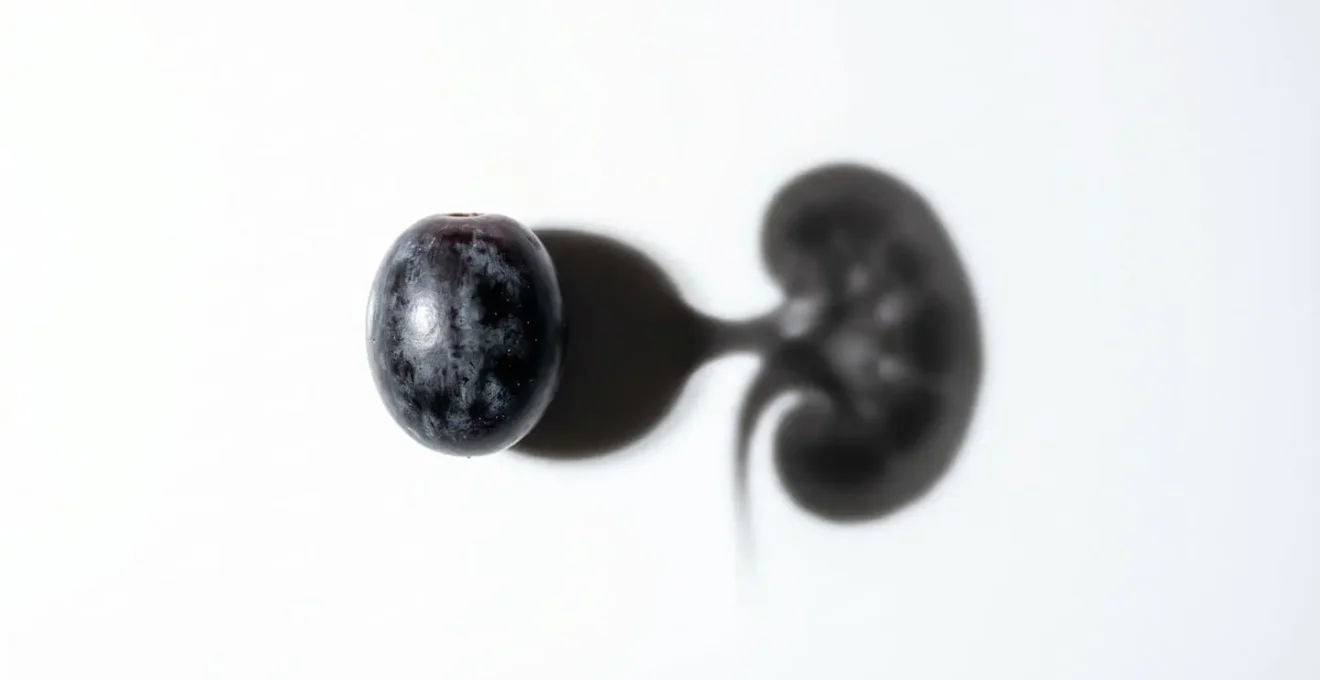A single grape on a white surface casting an ominous shadow in the shape of a kidney, symbolizing its hidden danger to dogs.